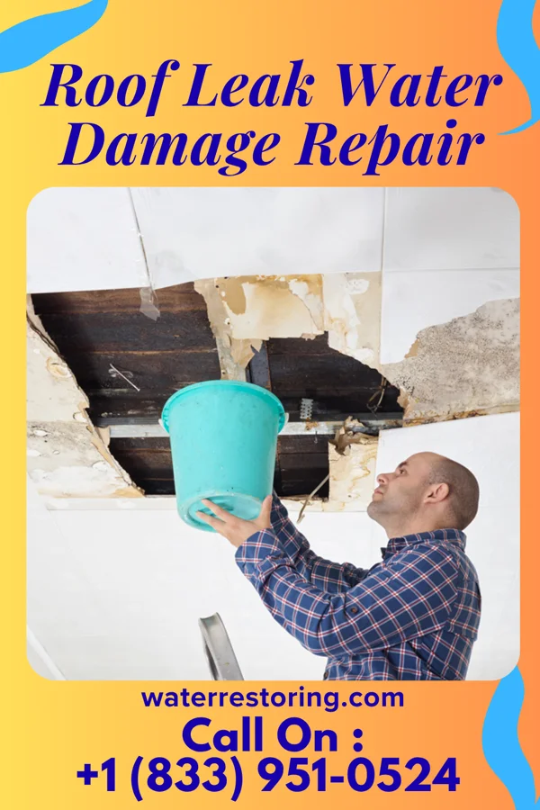 Roof Leak Water Damage Repair in Oakland, OR